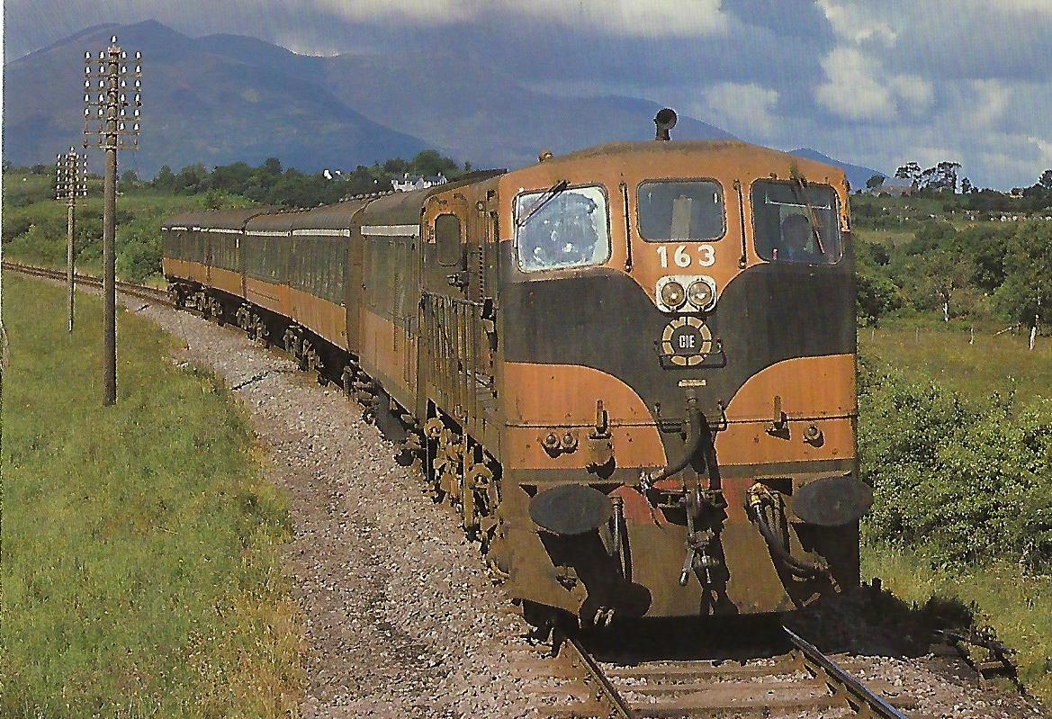 Córas Iompair Éireann (CIE), dieselelektrische Lokomotive 163 bei Killarney / Kerry im Mai 1980. (10463)